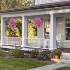 Ivydale 2 PCS Artificial Hanging Flowers Fake Plants Outdoor,Silk Morning Glory Faux Flowers with Eucalyptus Leaves,UV Resistant Realistic Hanging Petunias Plants for Home Garden Decor (Fuchsia)