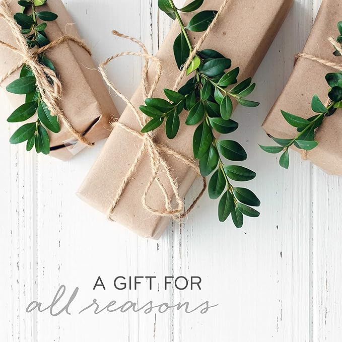 Thymes Frasier Fir Reed Diffuser Set – Includes Reeds, Fragrance Oil, and Frosted Glass Bottle – Fragrance Oil Diffuser – Room Fresheners – Luxury Home Decor – Green & White (Frosted Plaid, 4 fl oz)