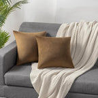 Throw Pillow Cases 20x20 Golden Brown: 2 Pack Cozy Soft Velvet Square Decorative Pillow Covers for Farmhouse Home Decor