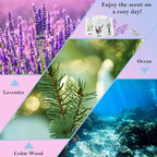 MYARO Scented Sachets 12 Pack Home Fragrance Sachet for Drawers & Closets, Long-Lasting Sachets Bags Cedar Wood, Ocean, Lavender Scented Sachet 3 Scent Air Freshener Scent for Lover