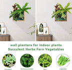 Vertical Wall Planter, 4 Pots Self Watering Living Planters Indoor, Wooden Frame Planter Wall Decoration Home Office (No Screw)