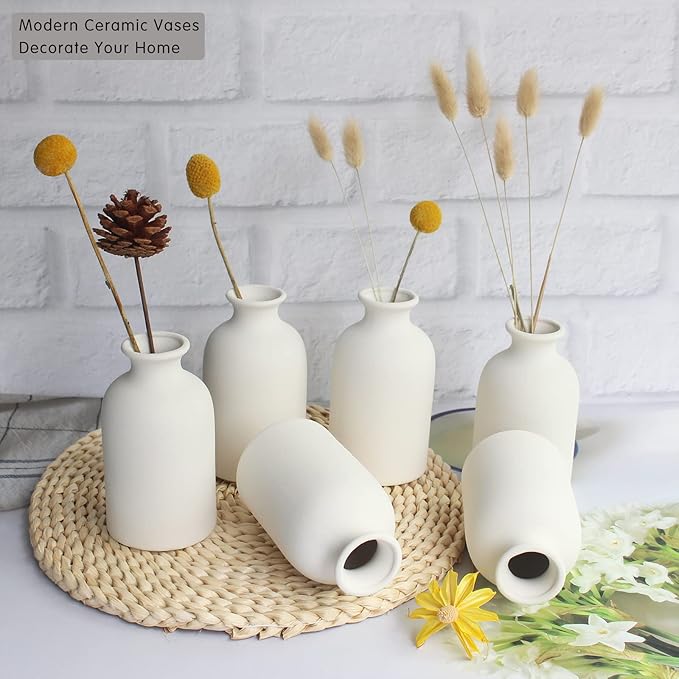 YANLING 6 Pack White Vase Small Ceramic Vases for Decor, White Vases for Flowers Boho Home Decor, Pampas Grass Dried Flowers Vases