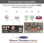 Satya Super Hit Incense Sticks, Satya Bng (Bangalore) Insenses 15gmx12 Pack with Raajsee Incense Holder Bundle, Satya Nagchampa Natural Incense