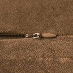 Throw Pillow Cases 20x20 Golden Brown: 2 Pack Cozy Soft Velvet Square Decorative Pillow Covers for Farmhouse Home Decor