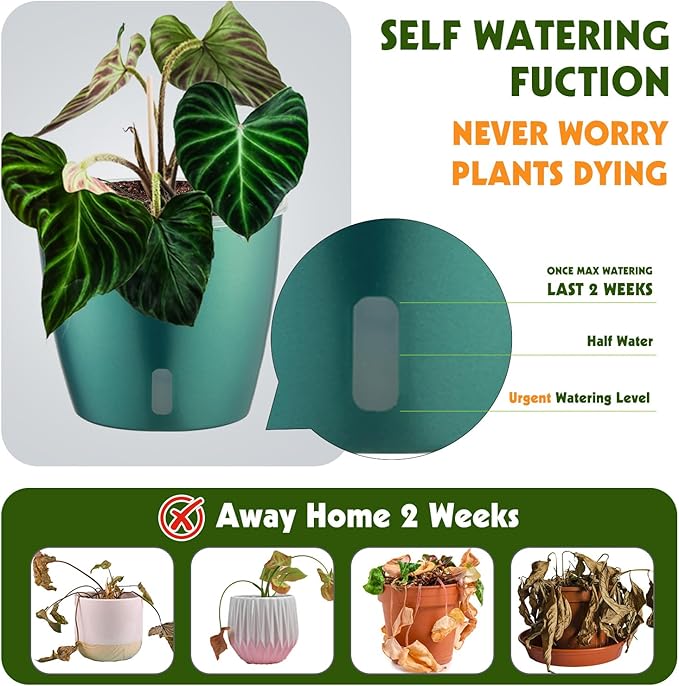 Self Watering Pots for Indoor Plants, 6-Pack 5'' Self Watering Planter with Drainage Holes, Small African Violet Pots with Water Indicator, Clear Wick Orchid Pot, Blue Gold