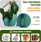 Self Watering Pots for Indoor Plants, 4-Pack 6.7'' Self Watering Planter with Drainage Holes, Small African Violet Pots with Water Indicator, Clear Wick Orchid Pot, Blue Gold