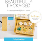 AGRARIA at The Beach PetiteEssence Collection, Handmade Sola Flower Reed Diffuser Set of 3, Luxury Home Fragrance Scented Oil Diffuser Gift Set