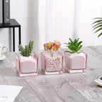 Square Flower Vases Set of 4, 3"x 3"x 3" Glass Vases for Centerpieces, Pink Vase for Flowers, Small Vase for Wedding, Party, Home Office Decoration