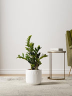 LE TAUCI Fluted Ceramic Planters Set of 3 – 8.3/7 / 5.7 in White Cylinder Indoor Plant Pots with Drainage Plug & Mesh, Matte Glazed Stoneware Flower Pots for Succulent Herb Cactus