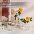 Glass Bud Vase for Centerpieces: 12Pcs Glasseam Clear Mini Small Vases for Flowers Bulk Flower Vase Set Aesthetic Cute Handmade Tiny Short Wedding Table Centerpiece Decor