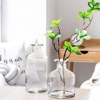 WDHODEC Glass Bud Vases Set of 4, Small Clear Vases for Flowers, Mini Glass Vase Assorted for Rustic Wedding, Floral Arrangements, Home Table Decorations