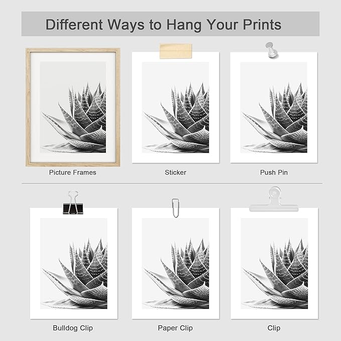 SIGNWIN Poster Set Black White Snake Plant Agave Cactus Succulent Close Up Floral Botanical Photography Modern Art Decorative Scenic Multicolor Nature Wilderness for Bedroom - 11"x14"x4