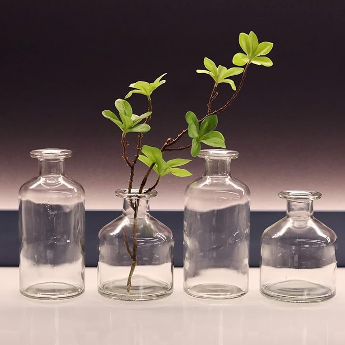 WDHODEC Glass Bud Vases Set of 4, Small Clear Vases for Flowers, Mini Glass Vase Assorted for Rustic Wedding, Floral Arrangements, Home Table Decorations