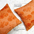 Booque Valley Pumpkin Pillow Covers Set of 2 Soft Plush Faux Fur Wool Fall Decorative Throw Pillowcases for Halloween Autumn Farmhouse Home Decor, 20 x 20 inch, Orange