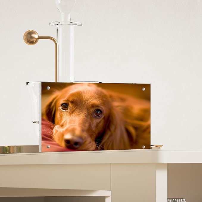 6x8 Inch Acrylic Picture Frames, Magneticear Acrylic Photo Frame, Frameless 6 by 8 Photo Frames,Double Side Display Glass Desktop Frame with Gift Box