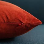 Fall Couch Pillow Cases 20x20 Burnt Orange: 2 Pack Cozy Soft Velvet Square Throw Pillow Covers for Farmhouse Home Decor