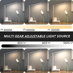 COZOO LED Desk Lamp with 2 USB Charging Ports,Type C Port,1 AC Outlet,2 Pen Holders,3 Color Temperature 3 Brightness Level,Touch/Memory/Timer,10W Eye Protection Foldable Reading Light,Study Lamp-White