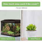 2.5 lbs Drainage Rocks for Potted Plants, 1/5 Inch Small Pebbles for Indoor Plants, Decorative Gravel for Vases, Bamboo, Succulent, Terrarium, Crafts, Cactus