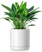 vancasso Ceramic Plant Pots, 8.25 Inch Ceramic Pot for Plants, Planters Pots for Indoor Plants with Drainage Holes, Flower Pot for Indoor House Plant, White