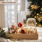 ComSaf Small Flower Vase Set of 12, Glass Bud Vases in Bulk, Clear Vases for Flower, Decor Centerpiece for Bathroom, Decorative Vases for House Warming, Valentines' Day, Mother's Day, Thanksgiving Day