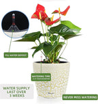 Dexceder 9x8 Inches Self Watering Planter Indoor Outdoor, Inner Pot Design, Thickened Table Flower Plant Pot with Water Level Indicator (White Gold Crackle)