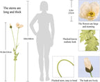 IPOPU 43.3" Poppy Flowers Artificial Flowers 6PCS Fake Silk Poppies Long Stem Artificial Flowers for Tall Vase for Wedding Party Home Decor(Champagne)