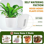 Self Watering Pots for Indoor Plants, 6-Pack 5'' Self Watering Planter with Drainage Holes, Small African Violet Pots with Water Indicator, Clear Wick Orchid Pot, White