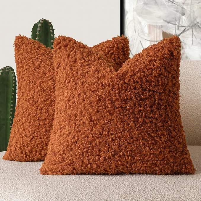 Foindtower 2 Pieces 18x18 Inch Burnt Orange, Faux Fur Throw Pillow Cover Accent Sherpa Furry Pillow Cover Fuzzy Soft Pillowcases Cozy Sheepskin Decorative Fleece Cushion Case for Bed Couch Living Room