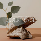 Antica Farmacista Home Ambiance Diffuser,Desert Sage,8.45 Fl Oz