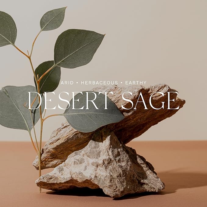 Antica Farmacista Room Spray - Desert Sage, 3.4 Fl Oz (Pack of 1)