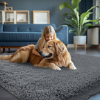 5x8 Grey Rug for Living Room: Fluffy Area Rugs for Living Room- Shaggy Area Rugs 5x8 Gray for Bedroom - Shag Sofr Plush Carpets for Bedroom (Grey, 5x8Feet)