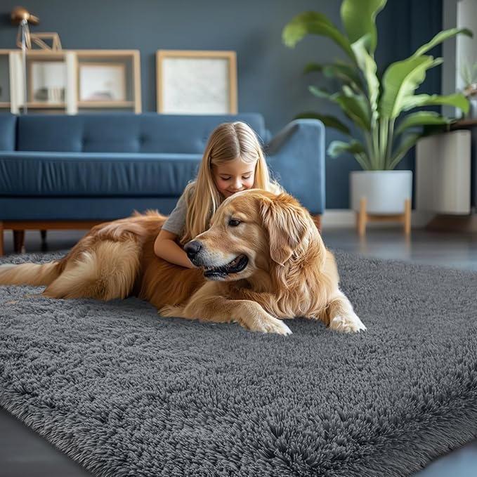 7x10 Area Rug for Living Room: Grey Shag Area Rug 7 X 10 Carpet for Living Room - Fluffy Rug 7x10 Modern Indoor Soft Shaggy Fuzzy Floor Carpet for Bedroom