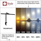 Bright Office Desk Lamp with Clamp, Dimmable LED Workbench Light with Touch Control, Adjustable Arm, Smart Architect Lamp for Desk, Tall Clamp Light for Office, Computer Monitors, Black