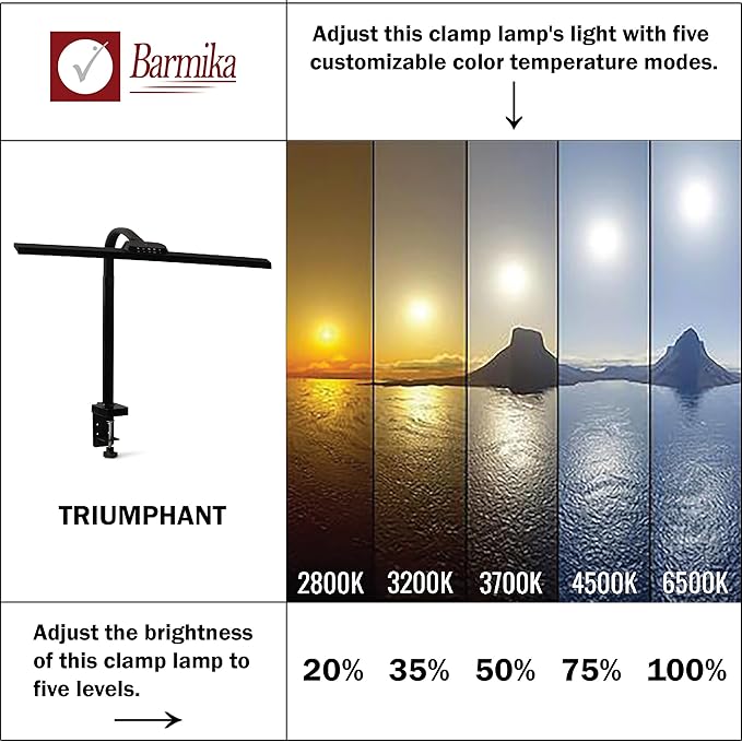 Bright Office Desk Lamp with Clamp, Dimmable LED Workbench Light with Touch Control, Adjustable Arm, Smart Architect Lamp for Desk, Tall Clamp Light for Office, Computer Monitors, Black