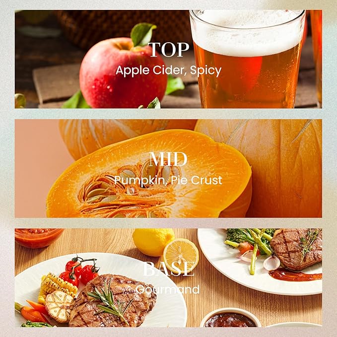 M&SENSE 10.14 oz Large Reed Diffuser Set | Pumpkin Apple Pie Scent Oil Diffuser with Sticks | Hotel Collection Non-Toxic Essential Oil |for Bedroom Bathroom Living Room