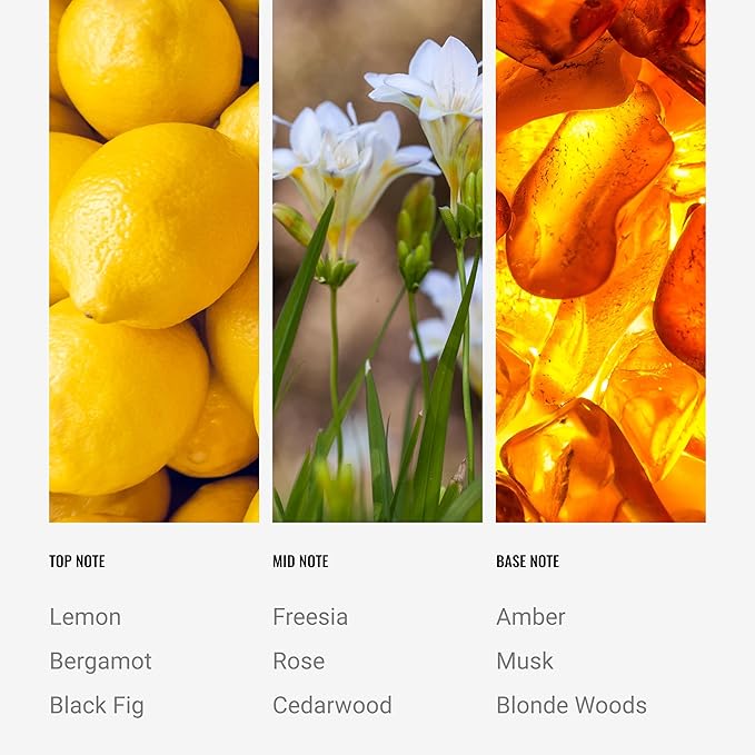 Black Velvet Reed Diffuser Set, Luxury Hotel Inspired Home Diffuser with Hints of Zesty Citrus, Juicy Black Fig, and Floral Rose, Lasting 4 Month Longevity, 100mL