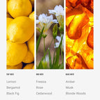 Black Velvet Reed Diffuser Set, Luxury Hotel Inspired Home Diffuser with Hints of Zesty Citrus, Juicy Black Fig, and Floral Rose, Lasting 4 Month Longevity, 100mL