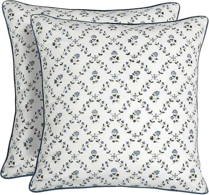 Ridhi Powder Blue Block Print Preppy Grandmillennial Pillow Cover Set of 2-18" x 18" Throw Pillow for Home White Floral Pillow Cover Grandmillennial Home Decor Thanksgiving