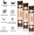 Satya Cinnamon Incense Sticks, Satya Bng (Bangalore) Insenses 15gmx3 Pack with Raajsee Incense Holder Bundle, Satya Nagchampa Natural Incense