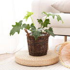 Handwoven Red Willow Planter Basket with Waterproof Liner – Natural Brown Decorative Flower Pot Holder for Indoor Use - Small Size (Inner Top Ø 7", Inner Height 5.9")