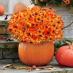 Artificial Fall Flowers for Outdoors, 10 Bundles Artificial Plants UV Resistant Fall Fake Plants for Outside Halloween Christmas Porch Decoration Fall Decor(Orange(Eucalyptus))