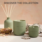 Craft & Kin Reed Diffuser for Home & Bathroom – White Birch & Cedar Reed Diffuser Set with Fragrance Sticks, Long-Lasting Alcohol-Free Scent, Fall Earthenware Collection, 6.7oz