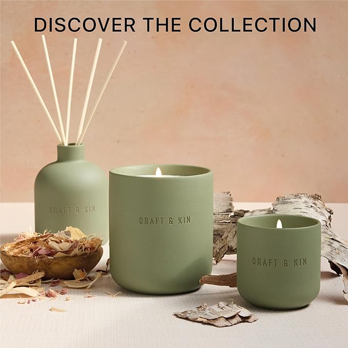 Craft & Kin Reed Diffuser for Home & Bathroom – White Birch & Cedar Reed Diffuser Set with Fragrance Sticks, Long-Lasting Alcohol-Free Scent, Fall Earthenware Collection, 6.7oz