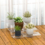 Rectangular Acrylic Display Risers Stands 3pcs, Dessert Table Display Rack, Clear Display Shelf for Funko Pop, Collectibles, Retails, Shoes, Glasses, Plants, Home Decors, Perfume - 12-1'', 2'', 3''