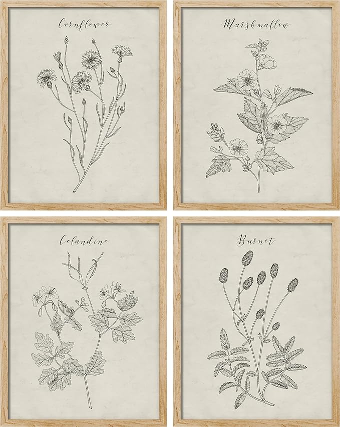 SIGNWIN Framed Vintage Wildflower Wall Art, Set of 4 Plant Collage Drawing Wall Decor Prints, Nature Wilderness Wall D¨¦cor for Living Room, Bedroom - 12"x16" Natural