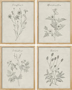 SIGNWIN Framed Vintage Wildflower Wall Art, Set of 4 Plant Collage Drawing Wall Decor Prints, Nature Wilderness Wall D¨¦cor for Living Room, Bedroom - 12"x16" Natural