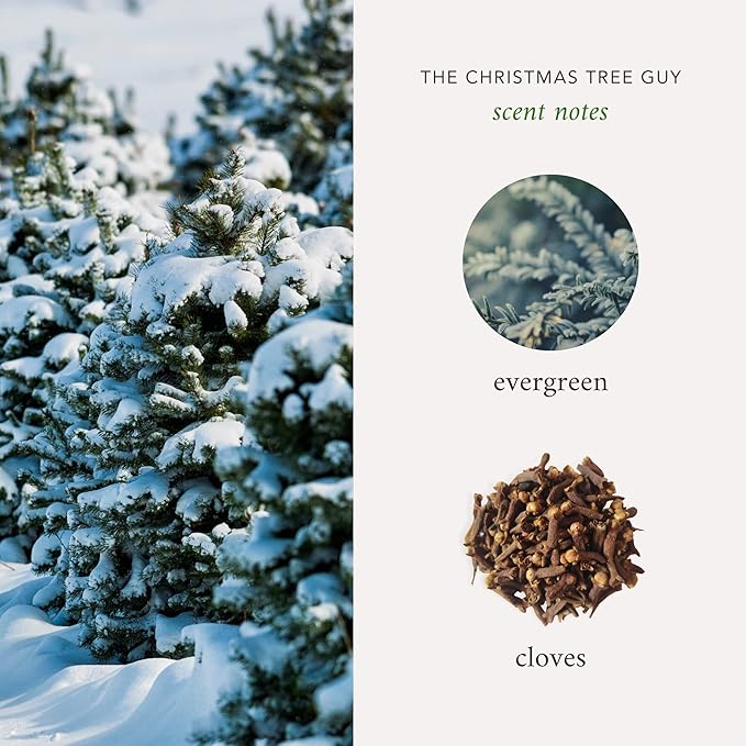 Literie NYC Inspired Scented Candle: The Christmas Tree Guy - Evergreen & Cloves Scent, 9oz, 50 Hour Burn, Vegan Soy & Coconut Blend Candle for Home Decor, Gift for Women & Men