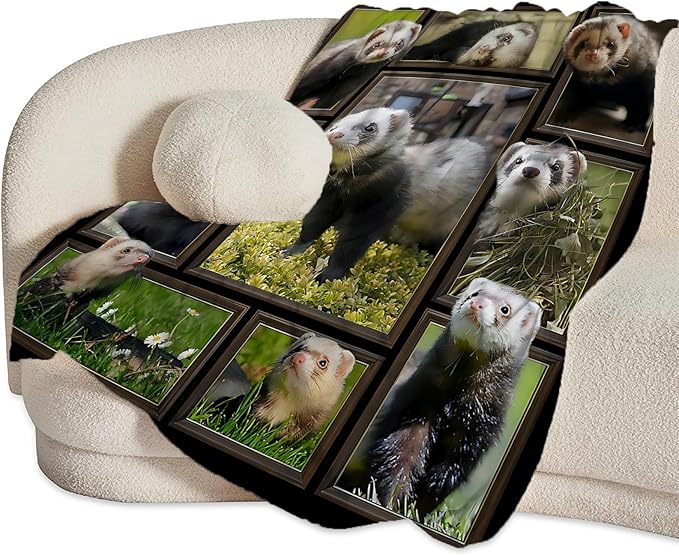 Cute Ferret Blanket for Women Girls Boys Men Funny Animal Ferrets Throw Blanket Plush Cozy Flannel Fleece Ultra Soft Fuzzy Blankets Gifts 60"X50"