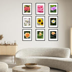 12 Packs 11x14 Picture Frames, Display 8x10 with Mat or 11x14 Without Mat, Black Gallery Wall Frame Set, 11 by 14 Frames Bulk Set of 12 Collage Wall Decor Photo Frames Set for Wall, Black