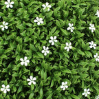 Bornbridge Artificial White Flower Topiary Ball Tree - 4' White Flower Ball Tree - Indoor/Outdoor Topiary Trees (1 Pack)